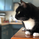 Image for article titled My Weird Cat Taught Himself to Piss in the Toilet—and Showed Me the Meaning of Life